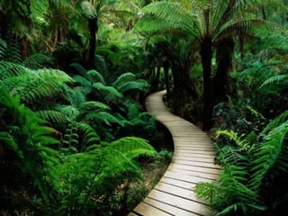 Lindos Cenários do Mundo!