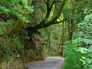 Lindos Cenários do Mundo!