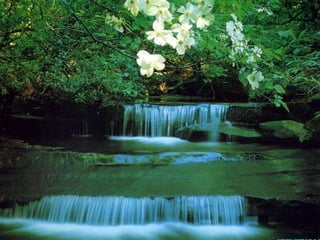 Lindos Cenários do Mundo!