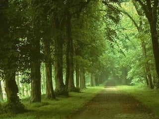 Lindos Cenários do Mundo!