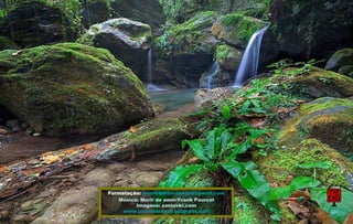 Formatação:  [email_address] Música: Morir de amor/Frank Pourcel Imagens: zastavki.com www.jrcordeiropps.blogspot.com 