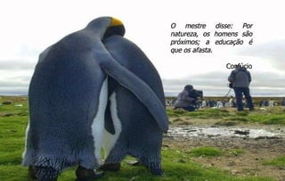 O mestre disse: Por natureza, os homens são próximos; a educação é que os afasta. Confúcio 