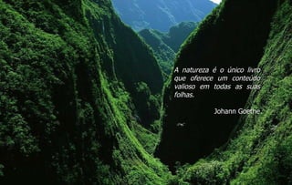 A natureza é o único livro que oferece um conteúdo valioso em todas as suas folhas. Johann Goethe 