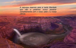 A natureza reservou para si tanta liberdade que não a podemos nunca penetrar completamente com o nosso saber e a nossa ciência. Johann Goethe 