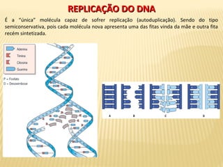 REPLICAÇÃO DO DNAREPLICAÇÃO DO DNA
É a “única” molécula capaz de sofrer replicação (autoduplicação). Sendo do tipo
semiconservativa, pois cada molécula nova apresenta uma das fitas vinda da mãe e outra fita
recém sintetizada.
 