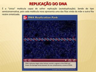 REPLICAÇÃO DO DNAREPLICAÇÃO DO DNA
É a “única” molécula capaz de sofrer replicação (autoduplicação). Sendo do tipo
semiconservativa, pois cada molécula nova apresenta uma das fitas vinda da mãe e outra fita
recém sintetizada.
 