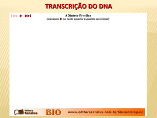 TRANSCRIÇÃO DO DNATRANSCRIÇÃO DO DNA
 