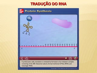 TRADUÇÃO DO RNATRADUÇÃO DO RNA
 
