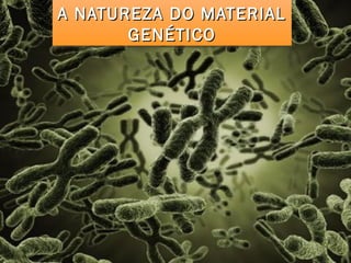 A NATUREZA DO MATERIALA NATUREZA DO MATERIAL
GENÉTICOGENÉTICO
A NATUREZA DO MATERIALA NATUREZA DO MATERIAL
GENÉTICOGENÉTICO
 