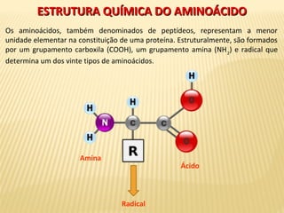 ESTRUTURA QUÍMICA DO AMINOÁCIDOESTRUTURA QUÍMICA DO AMINOÁCIDO
Os aminoácidos, também denominados de peptídeos, representam a menor
unidade elementar na constituição de uma proteína. Estruturalmente, são formados
por um grupamento carboxila (COOH), um grupamento amina (NH2
) e radical que
determina um dos vinte tipos de aminoácidos.
Amina
Ácido
Radical
 