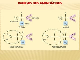 RADICAIS DOS AMINOÁCIDOSRADICAIS DOS AMINOÁCIDOS
 