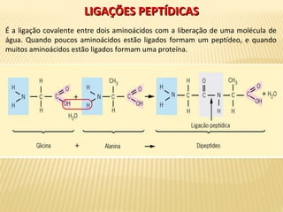 LIGAÇÕES PEPTÍDICASLIGAÇÕES PEPTÍDICAS
É a ligação covalente entre dois aminoácidos com a liberação de uma molécula de
água. Quando poucos aminoácidos estão ligados formam um peptídeo, e quando
muitos aminoácidos estão ligados formam uma proteína.
 