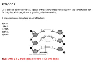 Duas cadeias polinucleotídicas, ligadas entre si por pontes de hidrogênio, são constituídas por
fosfato, desoxirribose, citosina, guanina, adenina e timina.
O enunciado anterior refere-se à molécula de:
a) ATP.
b) FAD.
c) RNA.
d) DNA.
e) NAD.
EXERCÍCIO 3
OBSOBS: Entre C e G tripa ligação e entre T e A uma dupla.
 