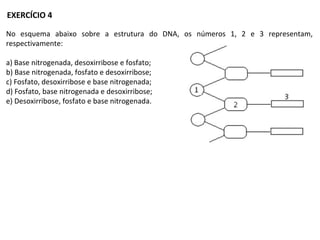 No esquema abaixo sobre a estrutura do DNA, os números 1, 2 e 3 representam,
respectivamente:
a) Base nitrogenada, desoxirribose e fosfato;
b) Base nitrogenada, fosfato e desoxirribose;
c) Fosfato, desoxirribose e base nitrogenada;
d) Fosfato, base nitrogenada e desoxirribose;
e) Desoxirribose, fosfato e base nitrogenada.
EXERCÍCIO 4
 