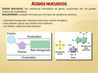 ÁCIDOS NUCLEICOSÁCIDOS NUCLEICOS
ÁCIDOS NUCLEICOS: são substâncias formadoras de genes, constituídas por um grande
número de nucleotídeos.
NUCLEOTÍDEOS: unidades formadas por três tipos de substâncias químicas:
- Uma base nitrogenada: composto cíclico que contém nitrogênio.
- Uma pentose: açúcar que contém cinco carbonos.
- Um fosfato: radical do ácido fosfórico
 