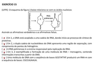 (UFPE) O esquema da figura à baixo relaciona-se com os ácidos nucleicos
Assinale as afirmativas verdadeiras e as afirmativas falsas.
(___) Em 1, o DNA está acoplado a uma cadeia de RNA, dando início ao processo de síntese de
proteínas.
(___) Em 2, a dupla cadeia de nucleotídeos do DNA apresenta uma região de separação, com
rompimento de pontes de hidrogênio.
(___) A RNA polimerase é a enzima responsável pela replicação do RNA.
(___) Em 3, é exemplificada a formação de uma molécula de RNA – mensageiro, contendo
informações transcritas a partir do DNA.
(___) Uma molécula de DNA com a seqüência de bases GCGTATTAT produzirá um RNA-m com
a sequência de bases: CGCCAUAAUA.
EXERCÍCIO 15
FF
VV
FF
VV
VV
 