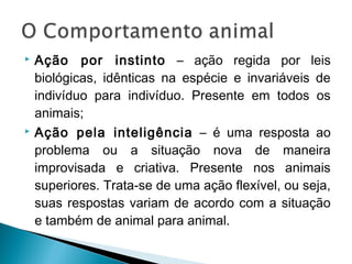  Ação por instinto – ação regida por leis
biológicas, idênticas na espécie e invariáveis de
indivíduo para indivíduo. Presente em todos os
animais;
 Ação pela inteligência – é uma resposta ao
problema ou a situação nova de maneira
improvisada e criativa. Presente nos animais
superiores. Trata-se de uma ação flexível, ou seja,
suas respostas variam de acordo com a situação
e também de animal para animal.
 