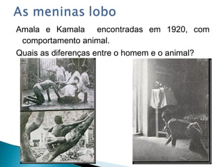 Amala e Kamala encontradas em 1920, com
comportamento animal.
Quais as diferenças entre o homem e o animal?
 