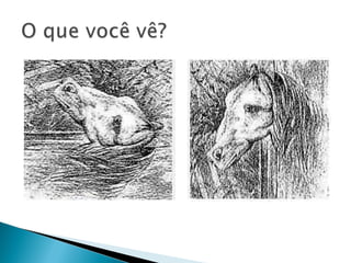 Natureza e Cultura