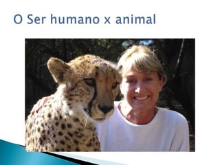 Natureza e Cultura