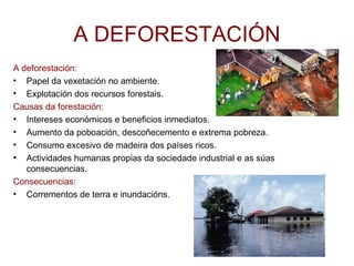 A DEFORESTACIÓN A deforestación:  Papel da vexetación no ambiente. Explotación dos recursos forestais. Causas da forestación: Intereses económicos e beneficios inmediatos. Aumento da poboación, descoñecemento e extrema pobreza. Consumo excesivo de madeira dos países ricos. Actividades humanas propias da sociedade industrial e as súas consecuencias. Consecuencias:  Corrementos de terra e inundacións. 