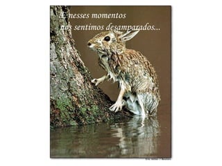 E nesses momentos  nos sentimos desamparados... 