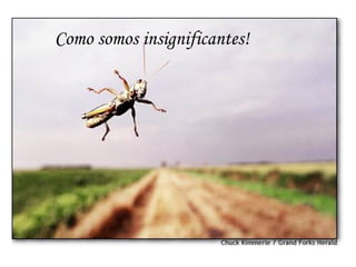 Como somos insignificantes!  