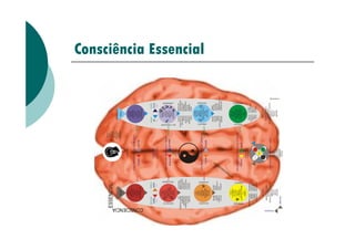 Consciência Essencial
 
