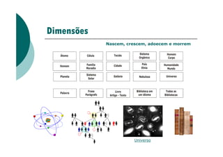 Dimensões
Nascem, crescem, adoecem e morrem
Universo
 