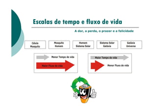 Escalas de tempo e fluxo de vida
A dor, a perda, o prazer e a felicidade
 