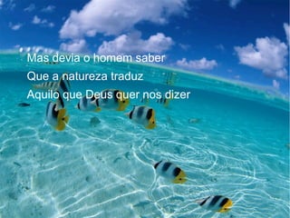 Mas devia o homem saber
Que a natureza traduz
Aquilo que Deus quer nos dizer

 