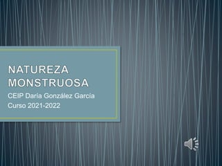CEIP Daría González García
Curso 2021-2022
 