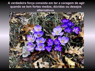 A verdadeira força consiste em ter a coragem de agir quando se tem fortes medos, dúvidas ou desejos alternativos . 