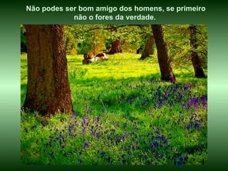 Não podes ser bom amigo dos homens, se primeiro não o fores da verdade.  