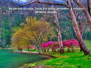 Na escola da vida, Deus é o único professor à procura de bons alunos. 