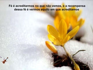 Fé é acreditarmos no que não vemos, e a recompensa dessa fé é vermos aquilo em que acreditamos   
