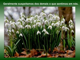 Geralmente suspeitamos dos demais o que sentimos em nós. 