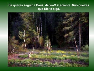 Se queres seguir a Deus, deixa-O ir adiante. Não queiras que Ele te siga. 