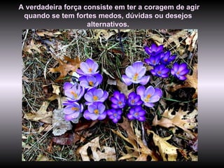 A verdadeira força consiste em ter a coragem de agir
 quando se tem fortes medos, dúvidas ou desejos
                    alternativos.
 