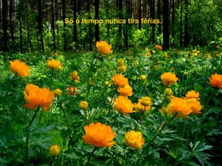 Só o tempo nunca tira férias.
 