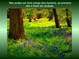 Não podes ser bom amigo dos homens, se primeiro
            não o fores da verdade.
 