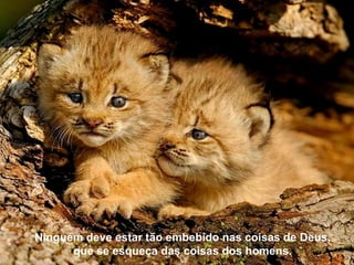 Ninguém deve estar tão embebido nas coisas de Deus,
      que se esqueça das coisas dos homens.
 