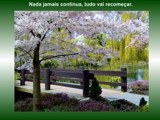 Nada jamais continua, tudo vai recomeçar.
 
