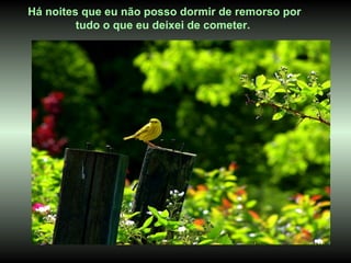 Há noites que eu não posso dormir de remorso por
         tudo o que eu deixei de cometer.
 