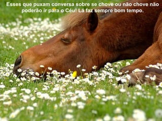 Esses que puxam conversa sobre se chove ou não chove não
     poderão ir para o Céu! Lá faz sempre bom tempo.
 