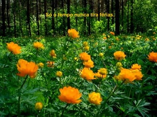 Só o tempo nunca tira férias. 