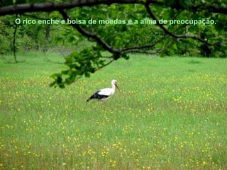 O rico enche a bolsa de moedas e a alma de preocupação. 