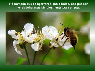 Há homens que se agarram à sua opinião, não por ser verdadeira, mas simplesmente por ser sua. 