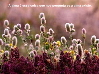 A alma é essa coisa que nos pergunta se a alma existe.  