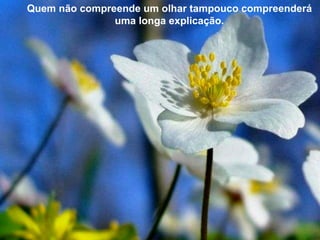 Quem não compreende um olhar tampouco compreenderá uma longa explicação. 